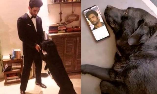 Sushant Singh Rajput's Pet Dog Fudge is Not Dead