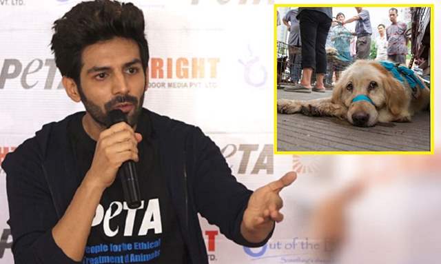 Kartik Aaryan dog meat festival