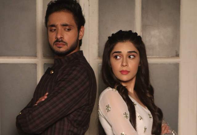 Eisha Singh and Adnan Khan 