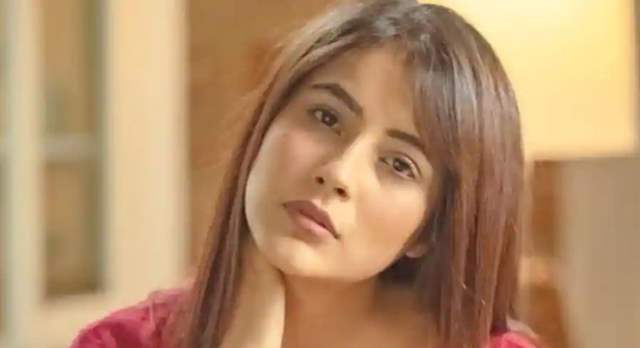 200 Shehnaaz gill ideas  punjabi models punjabi actress actresses