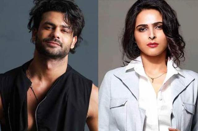 Madhurima Tuli and Vishal Aditya Singh