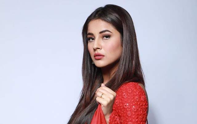 Shehnaaz Gill to resume work with shoot for Honsla Rakh's promotional song  | India Forums