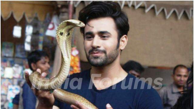 Pearl V Puri as Mahir Sehgal in Naagin 3