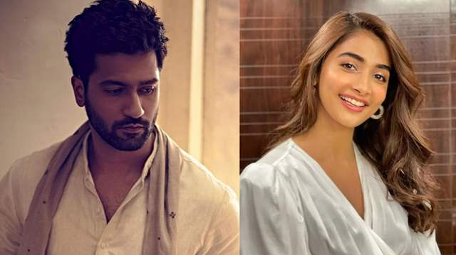 pooja Hegde and Vicky Kaushal