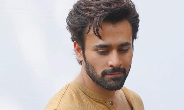  Pearl V Puri 