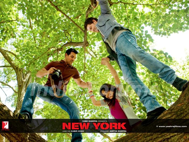 John,Katrina and Neil Nitin climbing on a tree