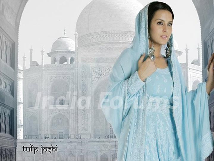 Tulip Joshi 2423