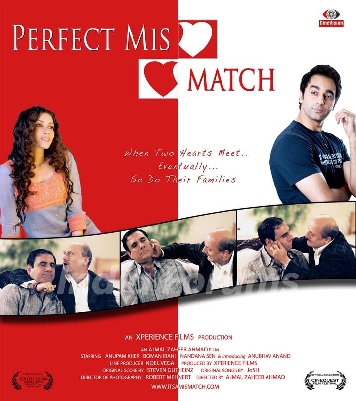 Poster of movie Perfect Mismatch