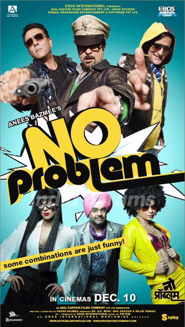 Poster of No Problem movie