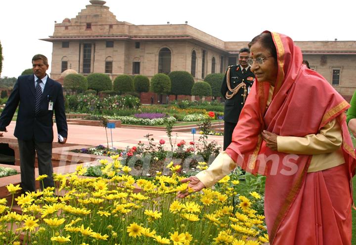 President Pratibha Patil at the Mughal Gardens in Rashtrapati Bhavan, on Monday. .