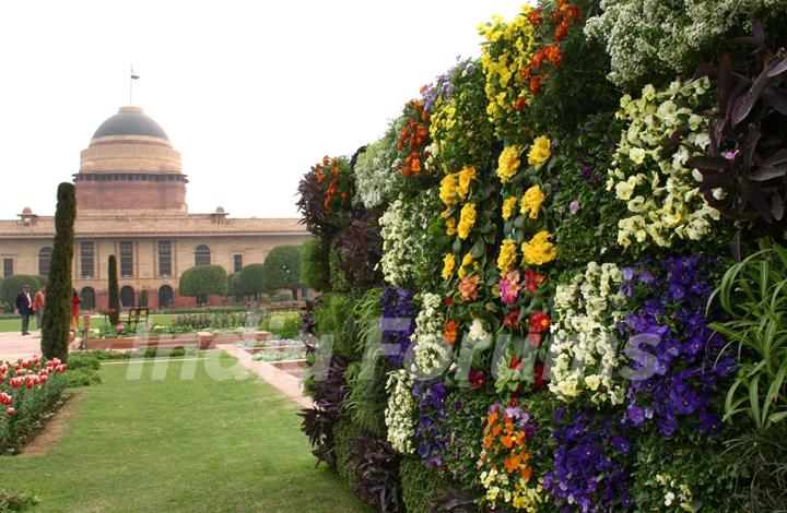 The Mughal Gardens in Rashtrapati Bhavan, on Monday. .