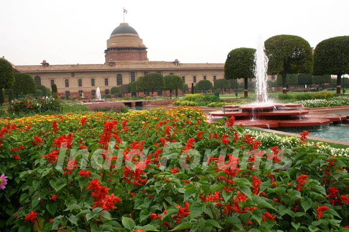 The Mughal Gardens in Rashtrapati Bhavan, on Monday. .