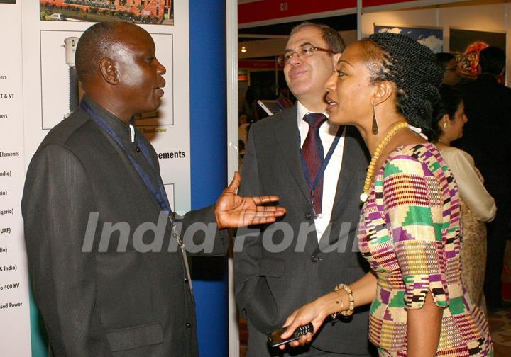 The participants of  the ''7th CII-Exim Bank Conclave on India Africa Project Partnership 2011