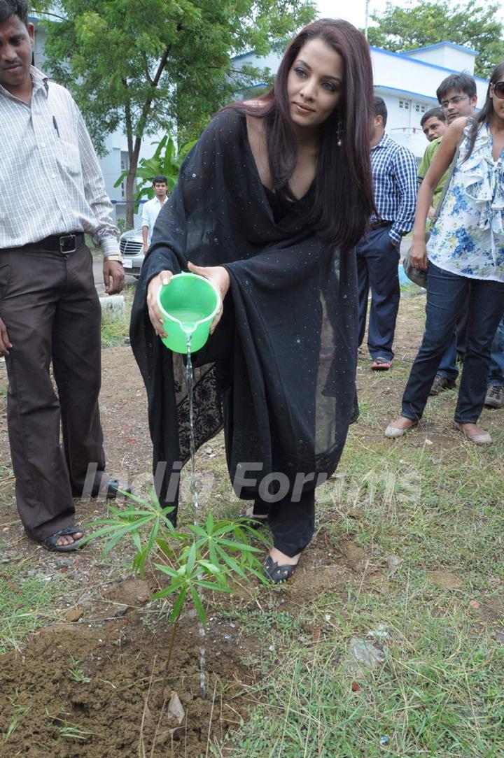 Celina Jaitley at Diya Diamonds World Enviorment Day event at Andheri