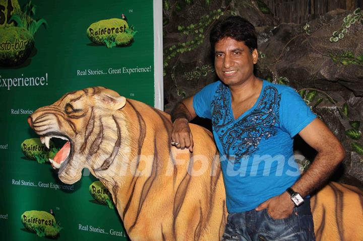 Raju Shrivastav at Rainforest restaurant and Bar launch in Andheri