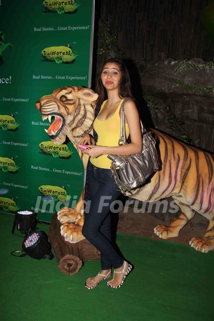 Celebs at Rainforest restaurant and Bar launch in Andheri