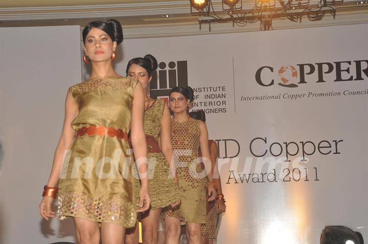 Models walk the ramp for IIID Copper Fashion Show 2011