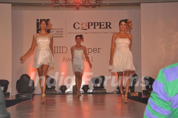 Models walk the ramp for IIID Copper Fashion Show 2011