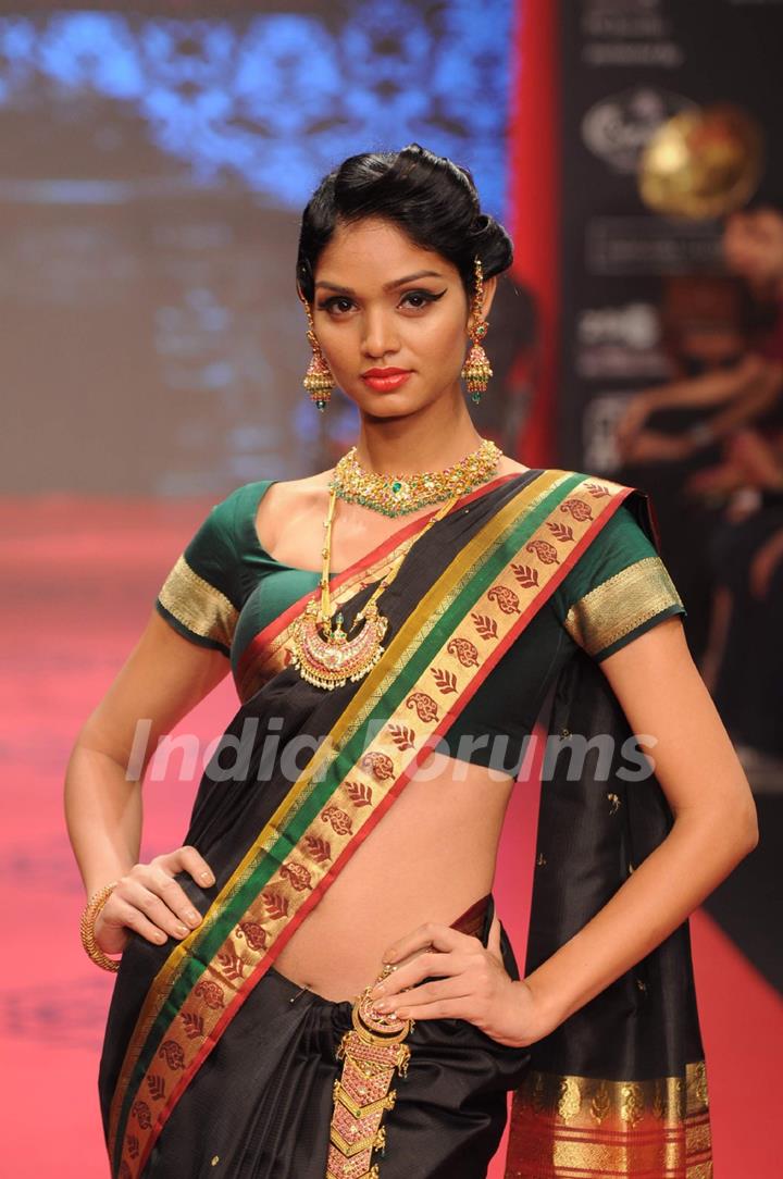 Model walks the ramp for C Krishniah Chetty & Sons at IIJW 2011