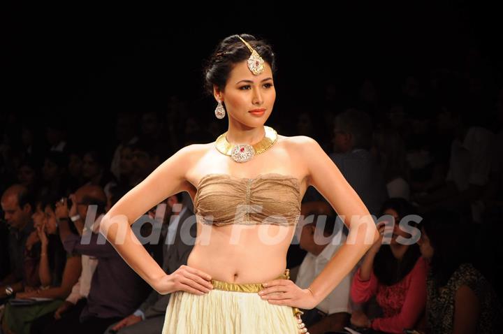 Models walk on the ramp for Dipti Amisha at IIJW 2011 show day 3. .