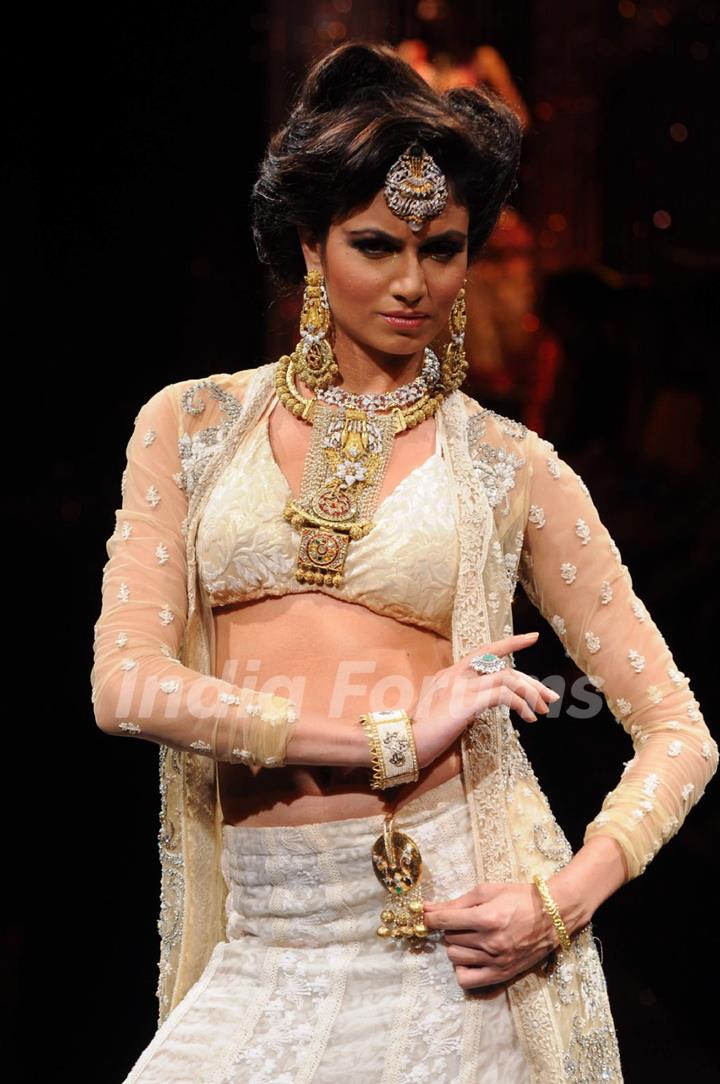 Model walks the ramp at IIJW 2011 Grand Finale . .