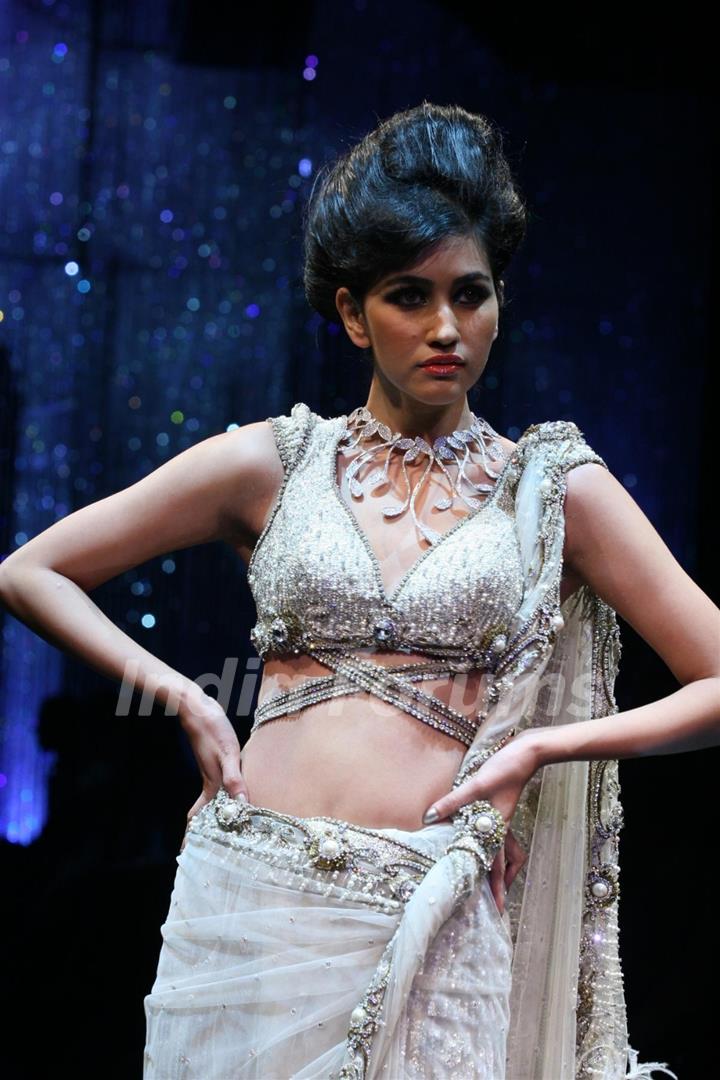 India International Jewellery Week (IIJW) 2011 Finale Show