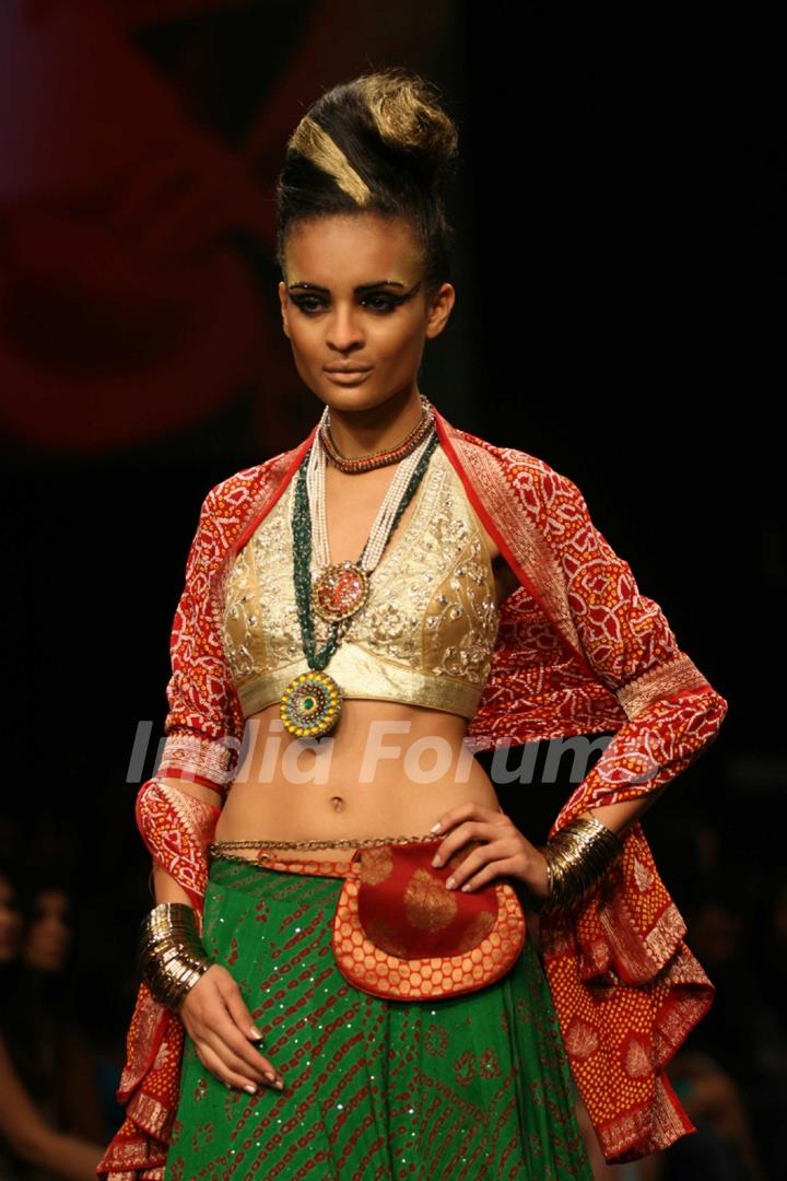 Anita Dongre Show at Lakme Fashion Week 2011 Day 2