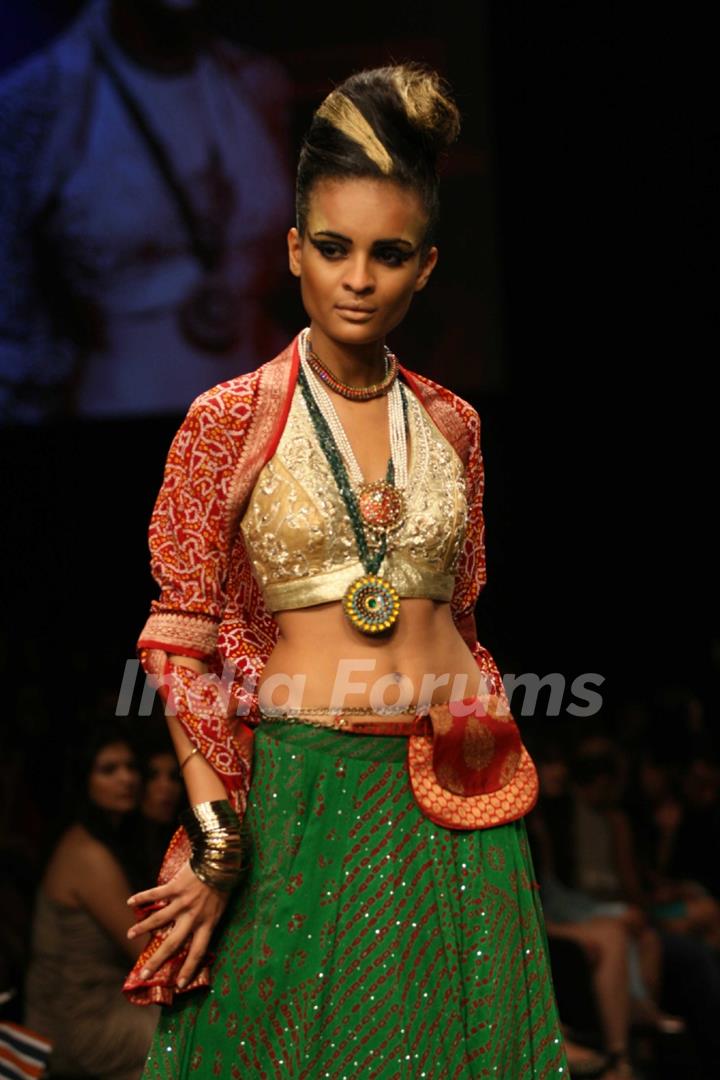 Anita Dongre Show at Lakme Fashion Week 2011 Day 2