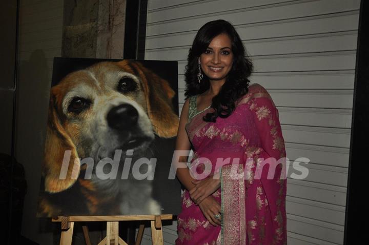 Dia Mirza at PETA Awards ceremony