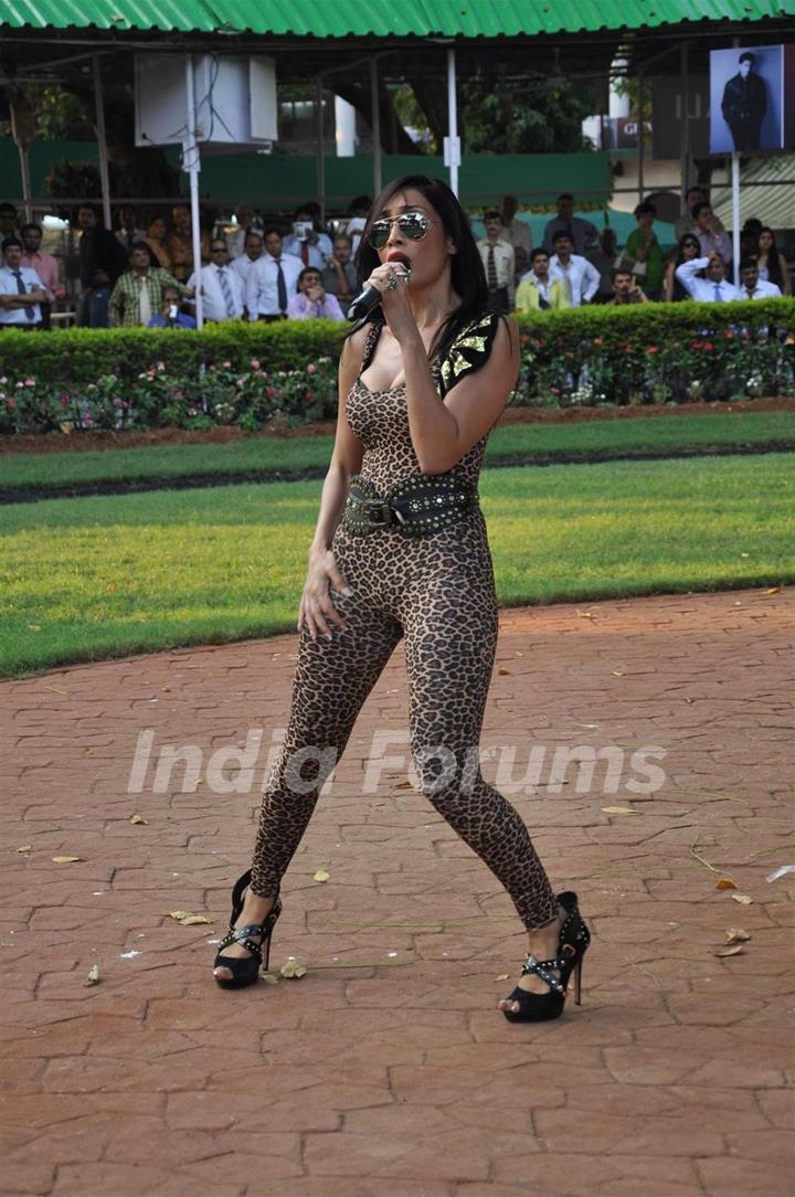 Sofia Hayat performs at Gitanjali Juvenile Million Race at Mahalaxmi Race Course in Mumbai