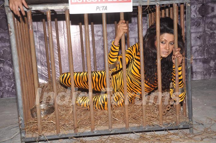 PETA - Negar Khan in protest of Zoos at Mehboob