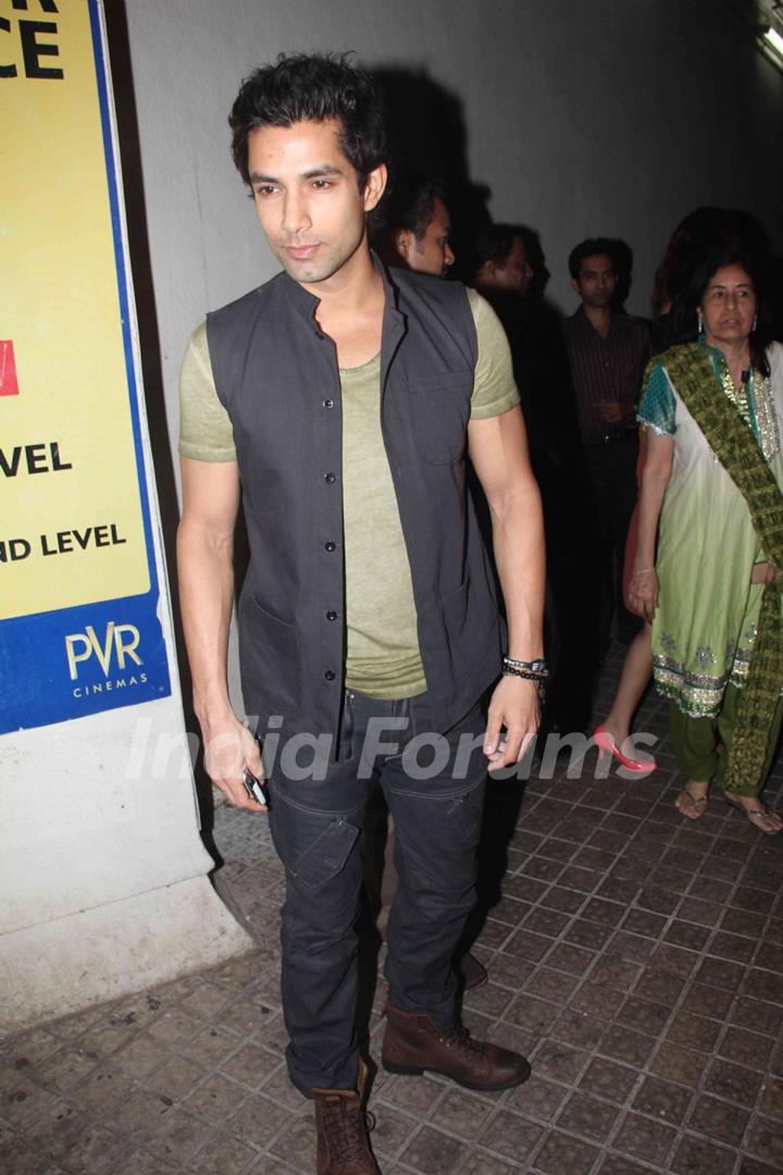 Celebs at Don 2 special screening at PVR