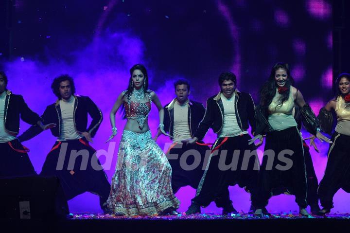 Mallika Sherawat performing at New Year's Eve event at Hotel Tulip Star in Mumbai