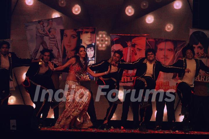 Mallika Sherawat performing at New Year's Eve event at Hotel Tulip Star in Mumbai