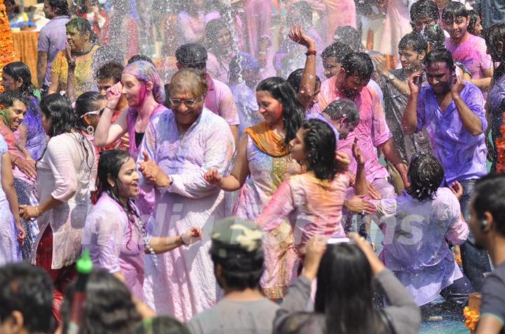 Colors Channel TV serials Artist celebrate Holi