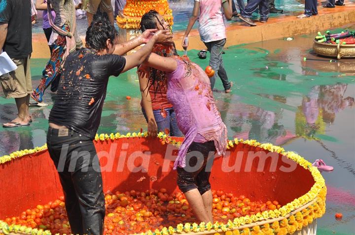 Colors Channel TV serials Artist celebrate Holi