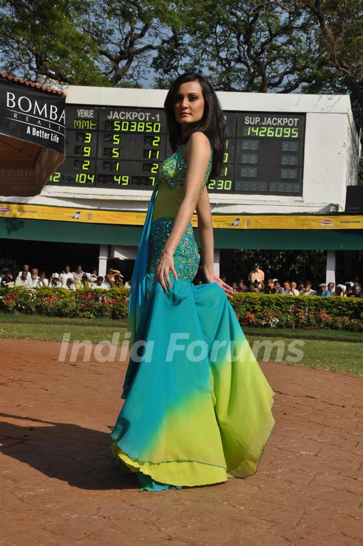 C N Wadia Gold Cup (Grade 2) Horse race at Mahalaxmi Race Course in Mumbai