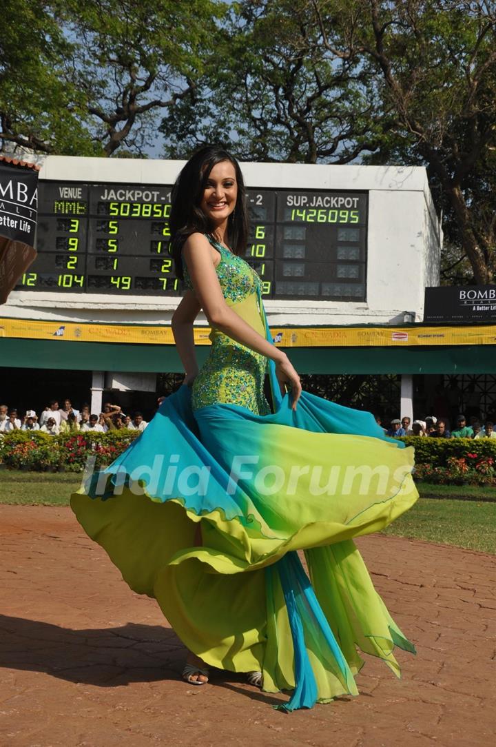 C N Wadia Gold Cup (Grade 2) Horse race at Mahalaxmi Race Course in Mumbai