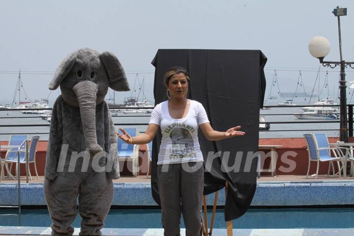 Launch of new Ad with Hard Kaur for World Circus Day