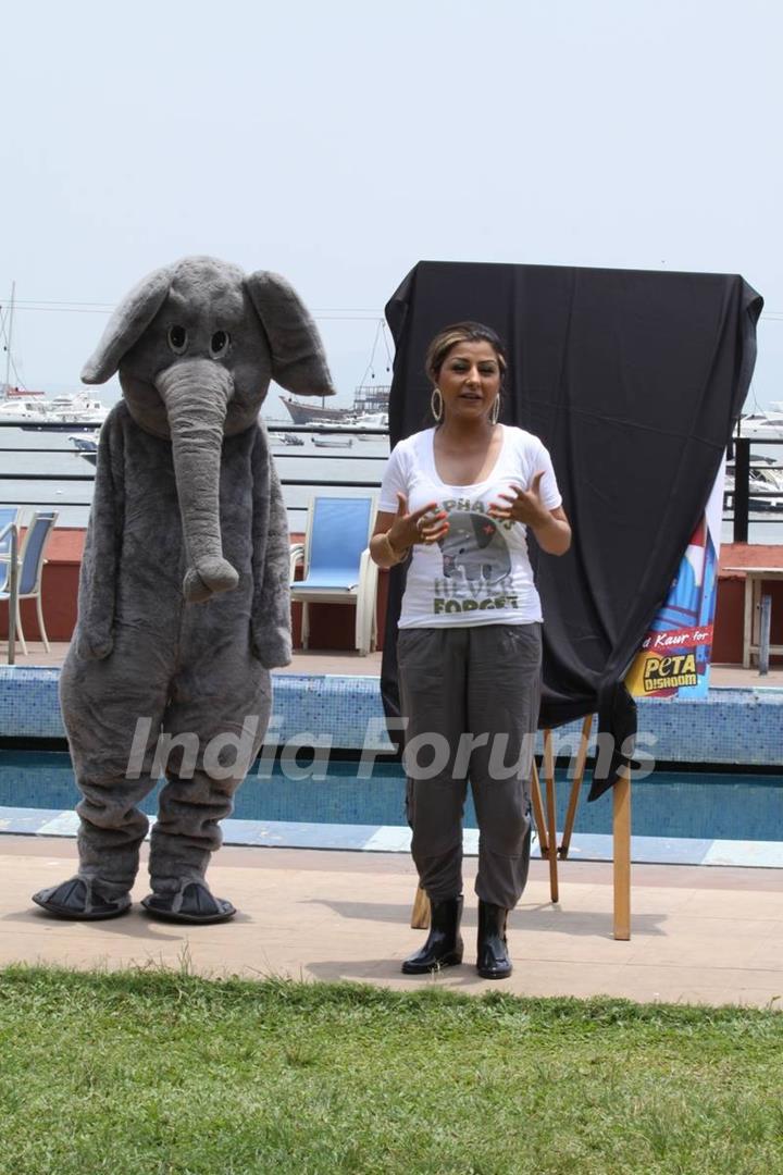 Launch of new Ad with Hard Kaur for World Circus Day