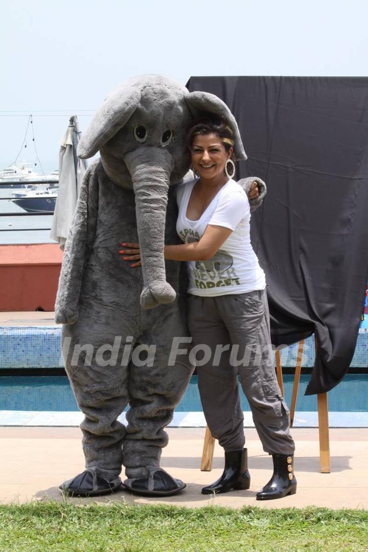 Launch of new Ad with Hard Kaur for World Circus Day