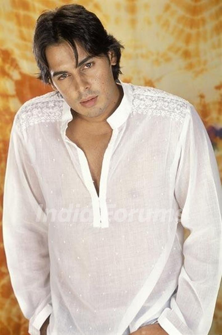 Dino Morea