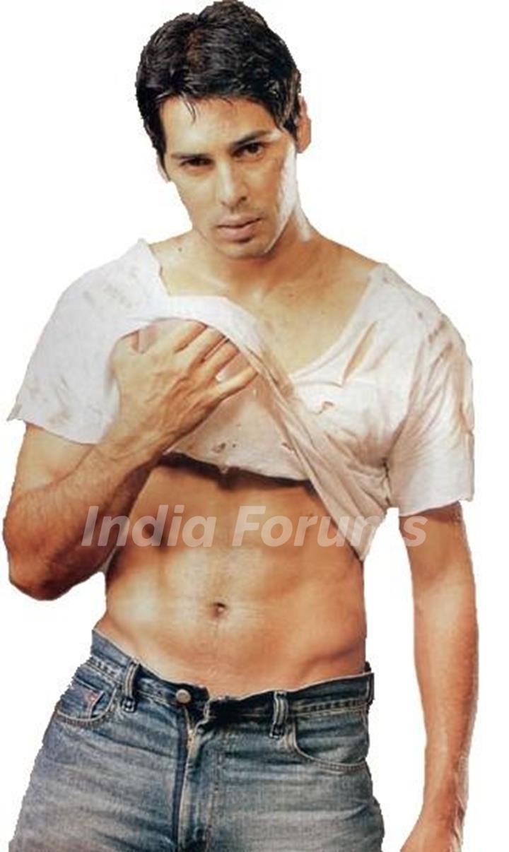 Dino Morea