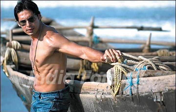 Dino Morea