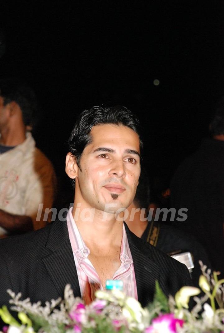 Dino Morea