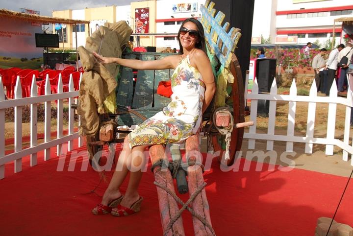 Tara Sharma promotes Kissanpur - A farm in the Middle of City