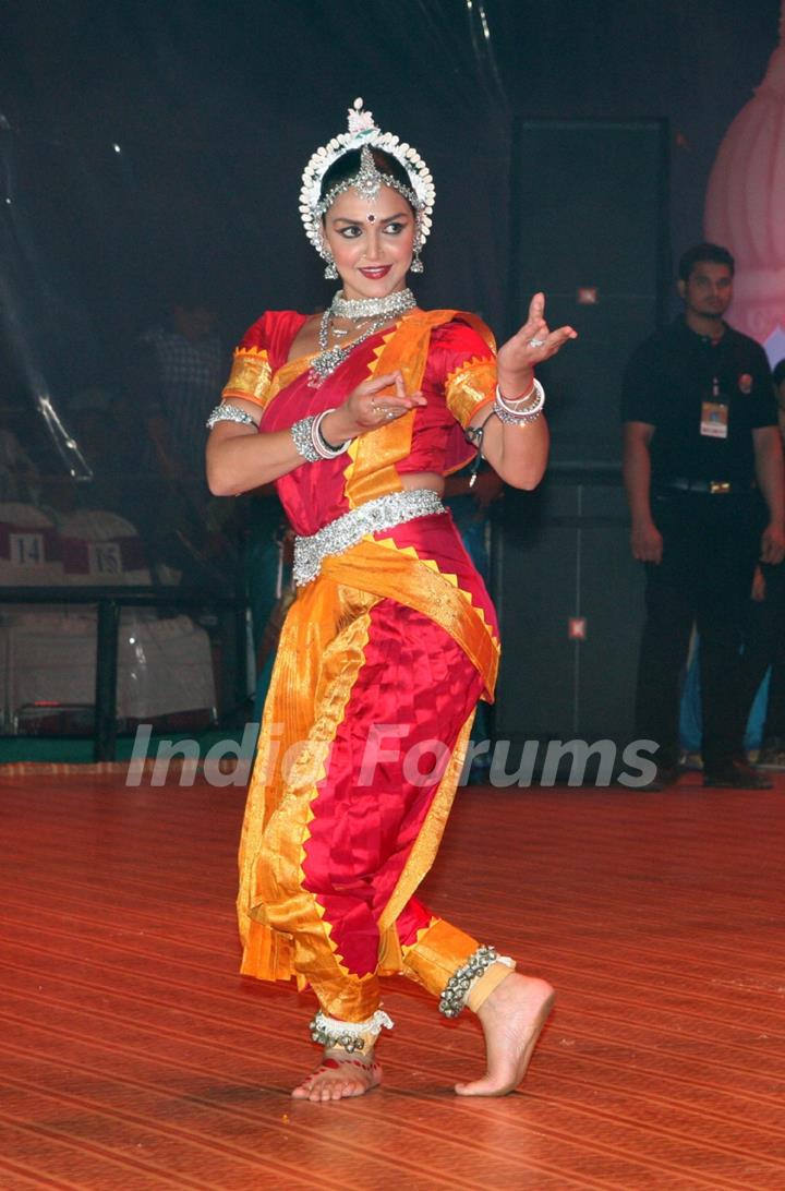 Bollywood actors celebrating Dahi Handi festival