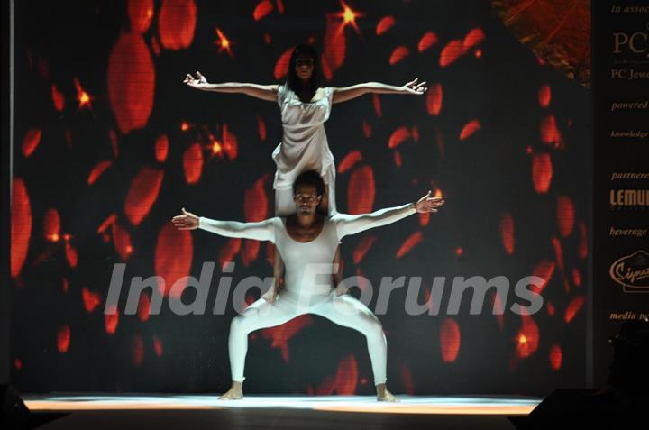 Dynamic International show at IIJW 2012