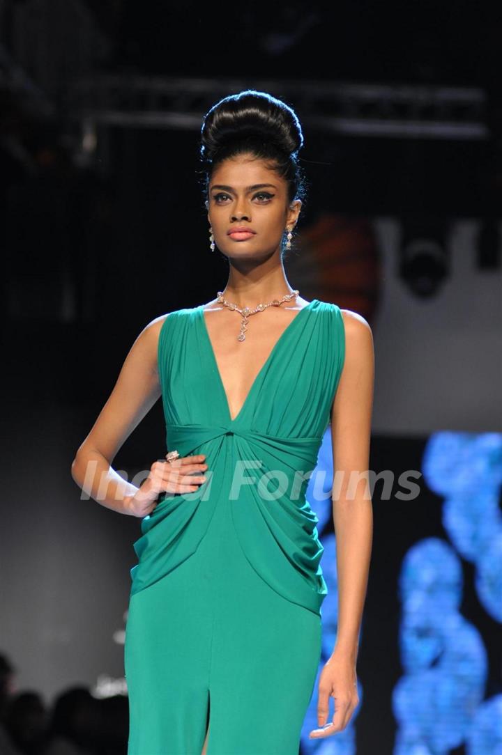 Dynamic International show at IIJW 2012