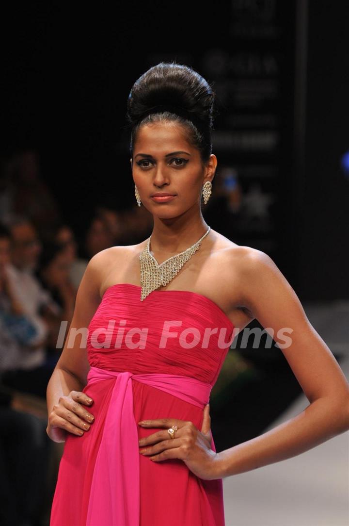 Dynamic International show at IIJW 2012